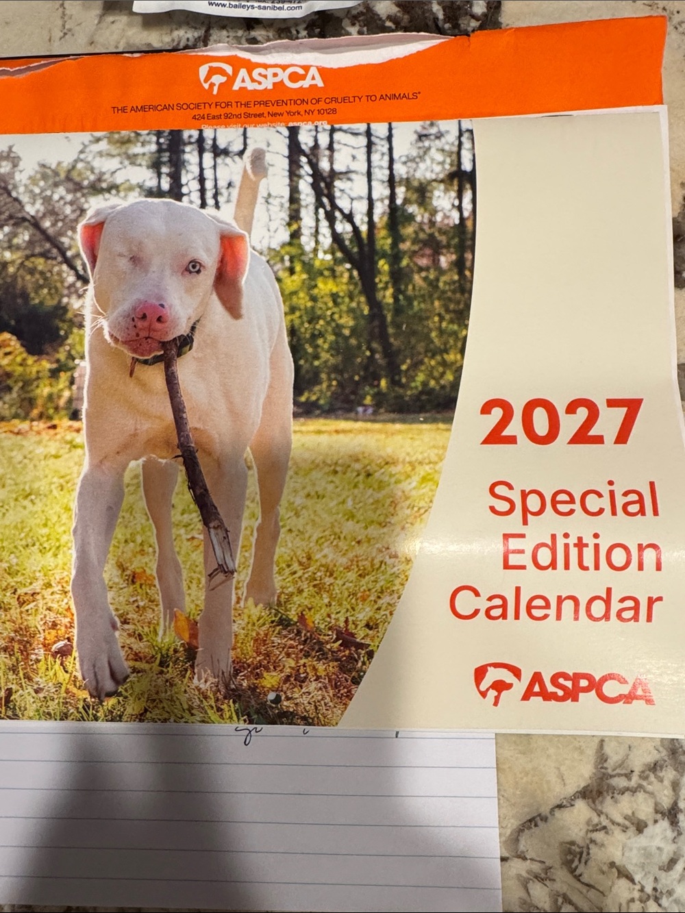 2027 Special Edition Calendar - Cream/Orange